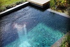 Природные бассейны с биологической очисткой воды.