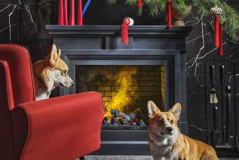 Dimplex Каминокомплект Coventry - Серый графит / Кирпич с очагом Cassette 400 NH